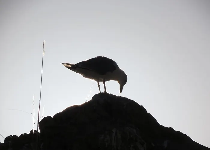 Blue Bay تْشيفالو